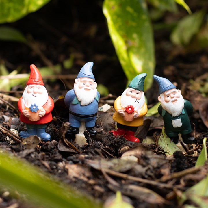 Mini Gnome Plant Pot Pals