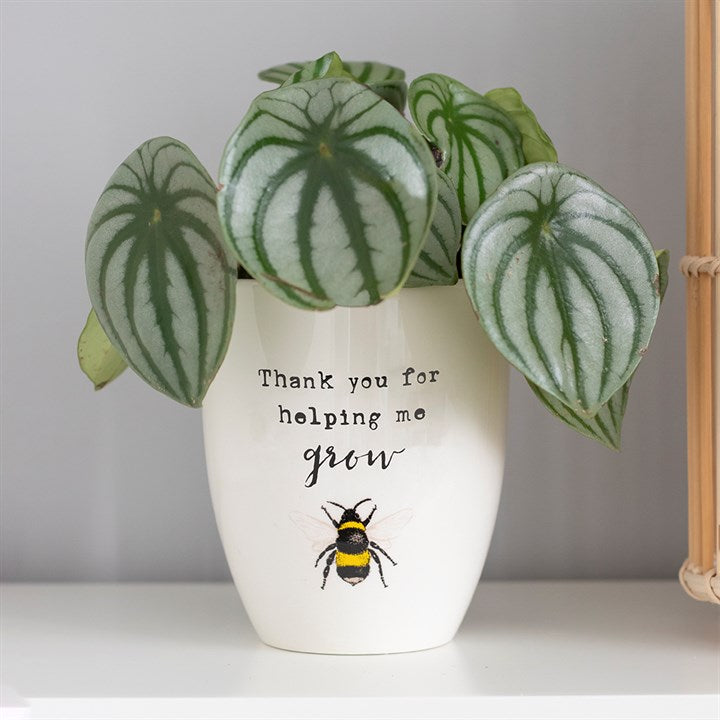 'Thank You For Helping Me Grow' Plant Pot